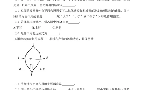 3.5.1光合作用吸收二氧化碳释放氧气（习题）-2022-2023学年七年级生物上册同步优质备课资源（人教版）（原卷版）_1、初中学习资料_4-6、生物_4-6-1、初一生物上册_同步练习-138份