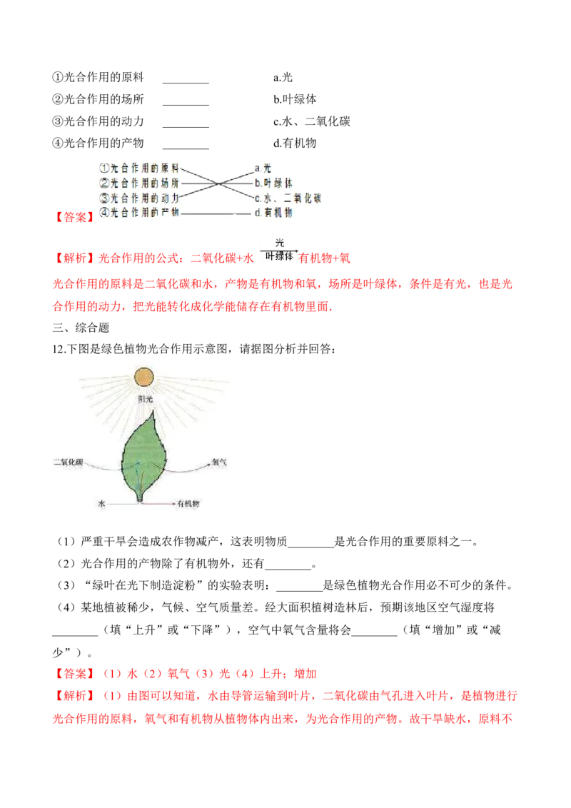 3.5.1光合作用吸收二氧化碳释放氧气（习题）-2022-2023学年七年级生物上册同步优质备课资源（人教版）（解析版）_1、初中学习资料_4-6、生物_4-6-1、初一生物上册_同步练习-138份