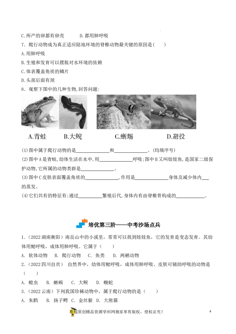 5.1.5两栖动物和爬行动物-2022-2023学年八年级生物上册课后培优分级练（人教版）（原卷版）_1、初中学习资料_4-6、生物_4-6-3、初二生物上册_1、同步练习（50份）
