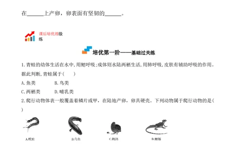 5.1.5两栖动物和爬行动物-2022-2023学年八年级生物上册课后培优分级练（人教版）（原卷版）_1、初中学习资料_4-6、生物_4-6-3、初二生物上册_1、同步练习（50份）