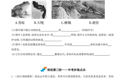 5.1.5两栖动物和爬行动物-2022-2023学年八年级生物上册课后培优分级练（人教版）（原卷版）_1、初中学习资料_4-6、生物_4-6-3、初二生物上册_1、同步练习（50份）