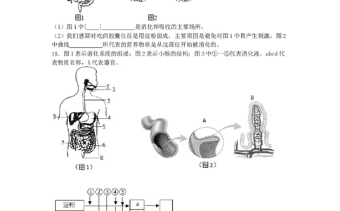 4.2.2消化和吸收-练学堂2021-2022学年七年级生物下学期同步习题精练（人教版）（原卷版）_1、初中学习资料_4-6、生物_4-6-2、初一生物下册_同步练习（89份）_同步练习第1套（20份）