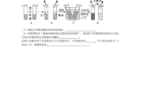4.2.2消化和吸收-练学堂2021-2022学年七年级生物下学期同步习题精练（人教版）（原卷版）_1、初中学习资料_4-6、生物_4-6-2、初一生物下册_同步练习（89份）_同步练习第1套（20份）