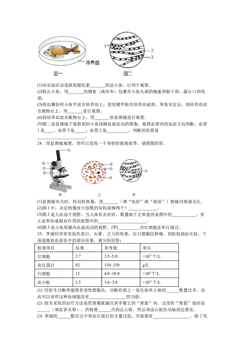 4.4.2血流的管道&mdash;&mdash;血管-练学堂2021-2022学年七年级生物下学期同步习题精练（人教版）（原卷版）_1、初中学习资料_4-6、生物_4-6-2、初一生物下册_同步练习（89份）