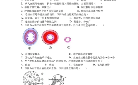 4.4.2血流的管道&mdash;&mdash;血管-练学堂2021-2022学年七年级生物下学期同步习题精练（人教版）（原卷版）_1、初中学习资料_4-6、生物_4-6-2、初一生物下册_同步练习（89份）