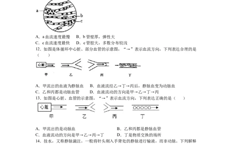 4.4.2血流的管道&mdash;&mdash;血管-练学堂2021-2022学年七年级生物下学期同步习题精练（人教版）（原卷版）_1、初中学习资料_4-6、生物_4-6-2、初一生物下册_同步练习（89份）