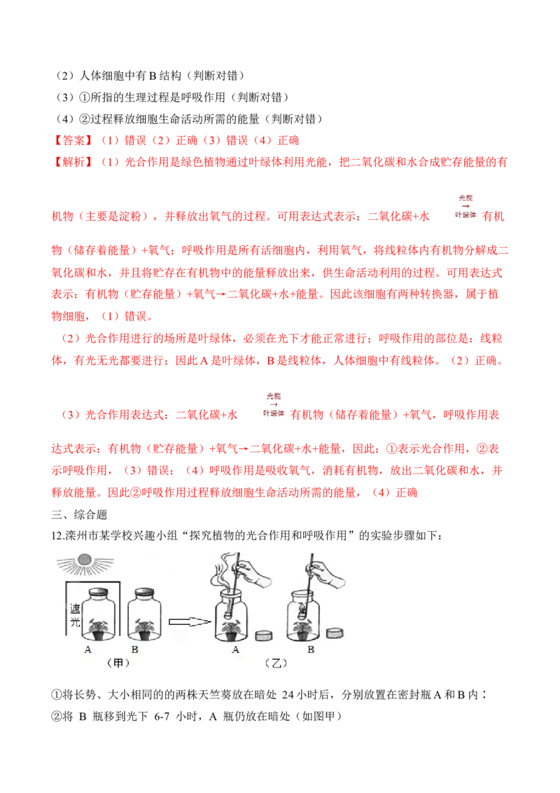 3.5.2绿色植物的呼吸作用（习题）-2022-2023学年七年级生物上册同步优质备课资源（人教版）（解析版）_1、初中学习资料_4-6、生物_4-6-1、初一生物上册_同步练习-138份