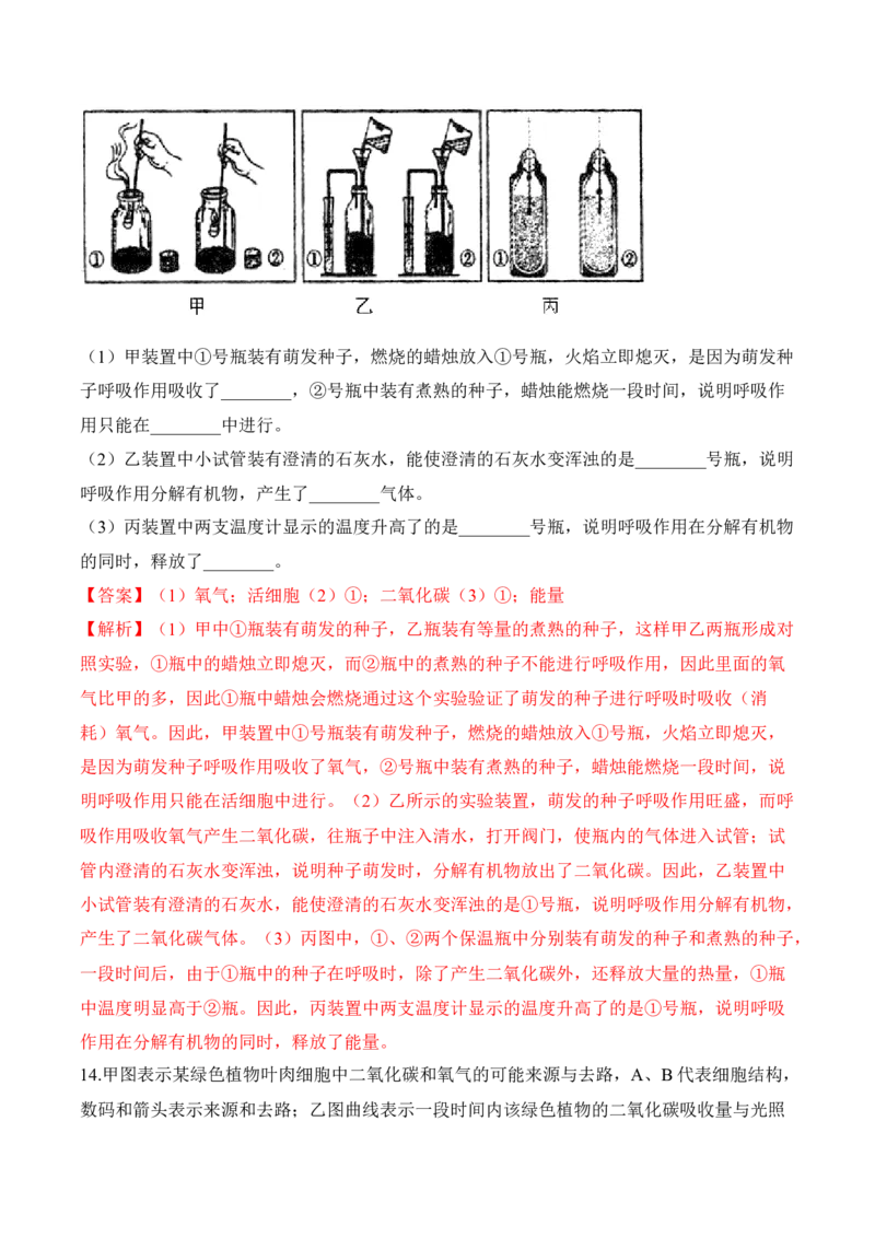 3.5.2绿色植物的呼吸作用（习题）-2022-2023学年七年级生物上册同步优质备课资源（人教版）（解析版）_1、初中学习资料_4-6、生物_4-6-1、初一生物上册_同步练习-138份