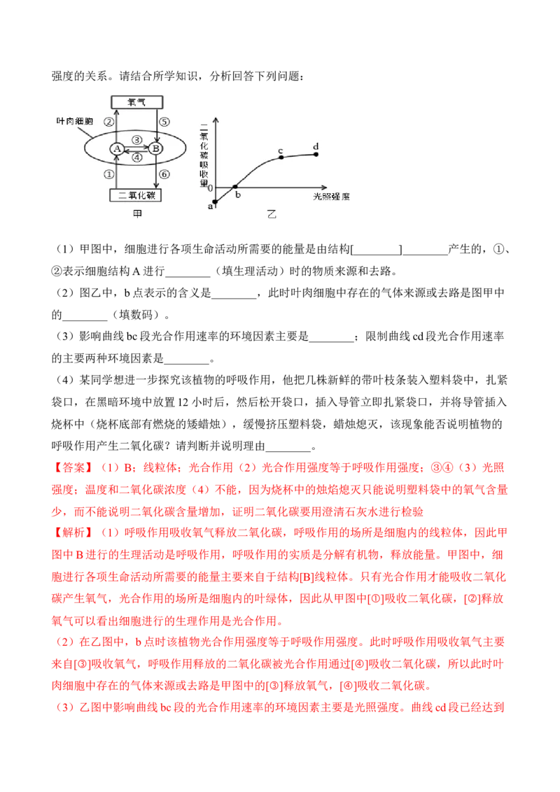 3.5.2绿色植物的呼吸作用（习题）-2022-2023学年七年级生物上册同步优质备课资源（人教版）（解析版）_1、初中学习资料_4-6、生物_4-6-1、初一生物上册_同步练习-138份