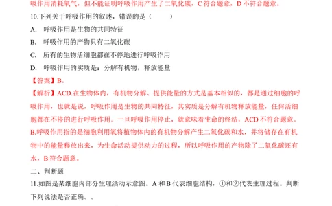 3.5.2绿色植物的呼吸作用（习题）-2022-2023学年七年级生物上册同步优质备课资源（人教版）（解析版）_1、初中学习资料_4-6、生物_4-6-1、初一生物上册_同步练习-138份