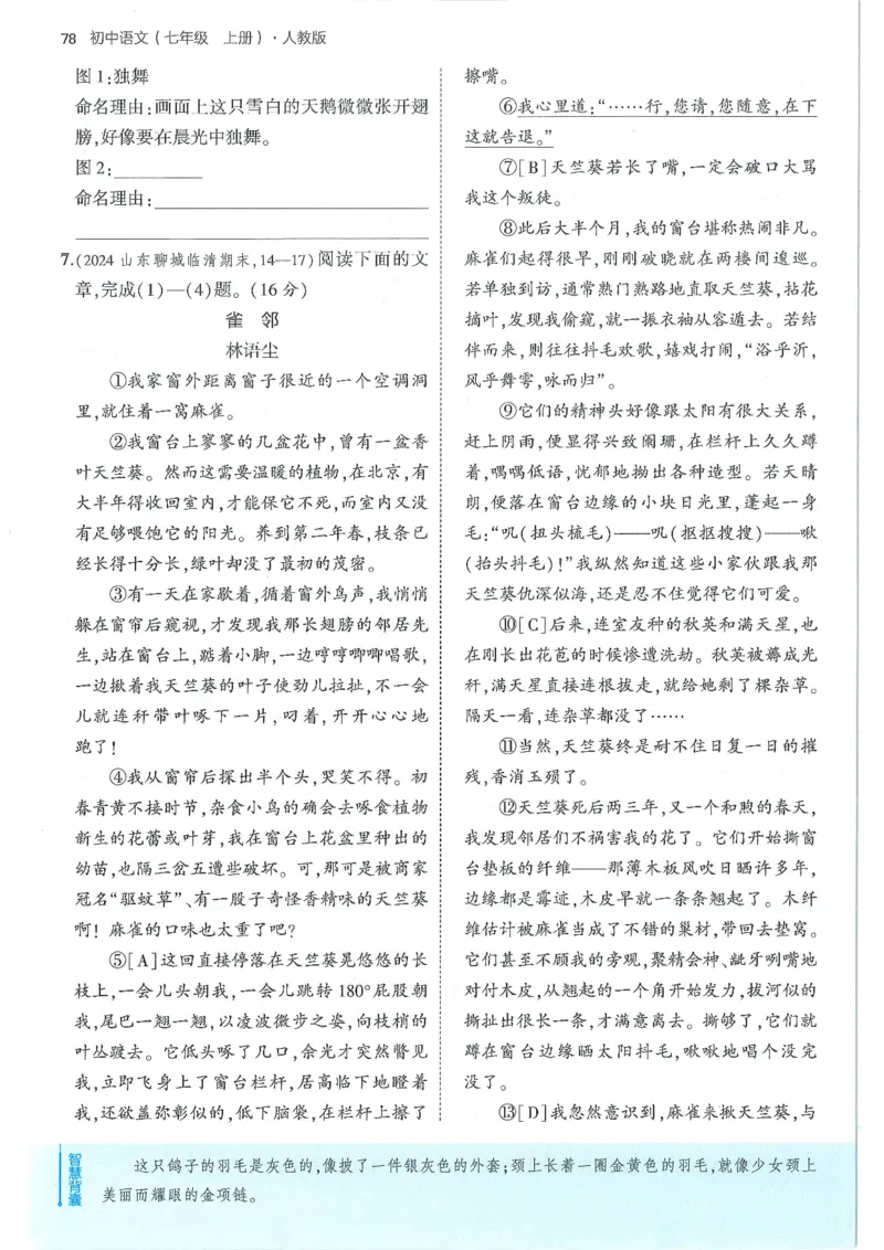 53-初中同步-7上-语文人教版全练版_1、初中学习资料_24秋试卷_2025版《53&bull;初中同步》上册全科