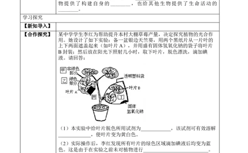 3.4绿色植物是生物圈中有机物的制造者（学案）-2022-2023学年七年级生物上册同步优质备课资源（人教版）_1、初中学习资料_4-6、生物_4-6-1、初一生物上册_同步练习-138份