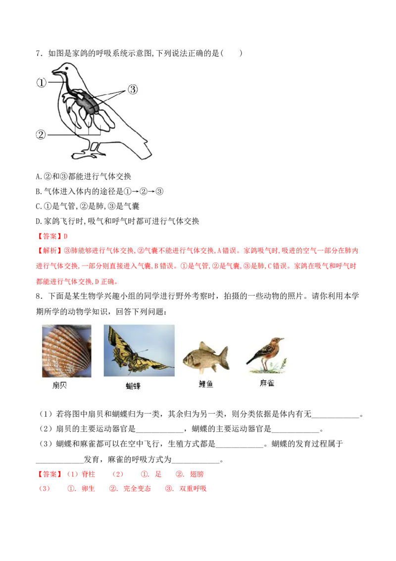 5.1.6鸟-2022-2023学年八年级生物上册课后培优分级练（人教版）（解析版）_1、初中学习资料_4-6、生物_4-6-3、初二生物上册_1、同步练习（50份）