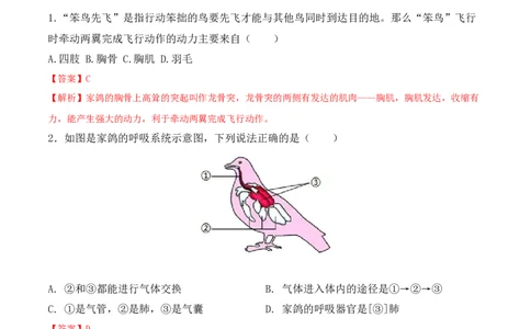 5.1.6鸟-2022-2023学年八年级生物上册课后培优分级练（人教版）（解析版）_1、初中学习资料_4-6、生物_4-6-3、初二生物上册_1、同步练习（50份）
