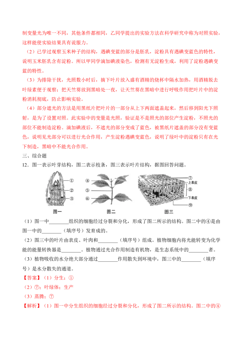 3.4绿色植物是生物圈中有机物的制造者（习题）-2022-2023学年七年级生物上册同步优质备课资源（人教版）（解析版）_1、初中学习资料_4-6、生物_4-6-1、初一生物上册_同步练习-138份