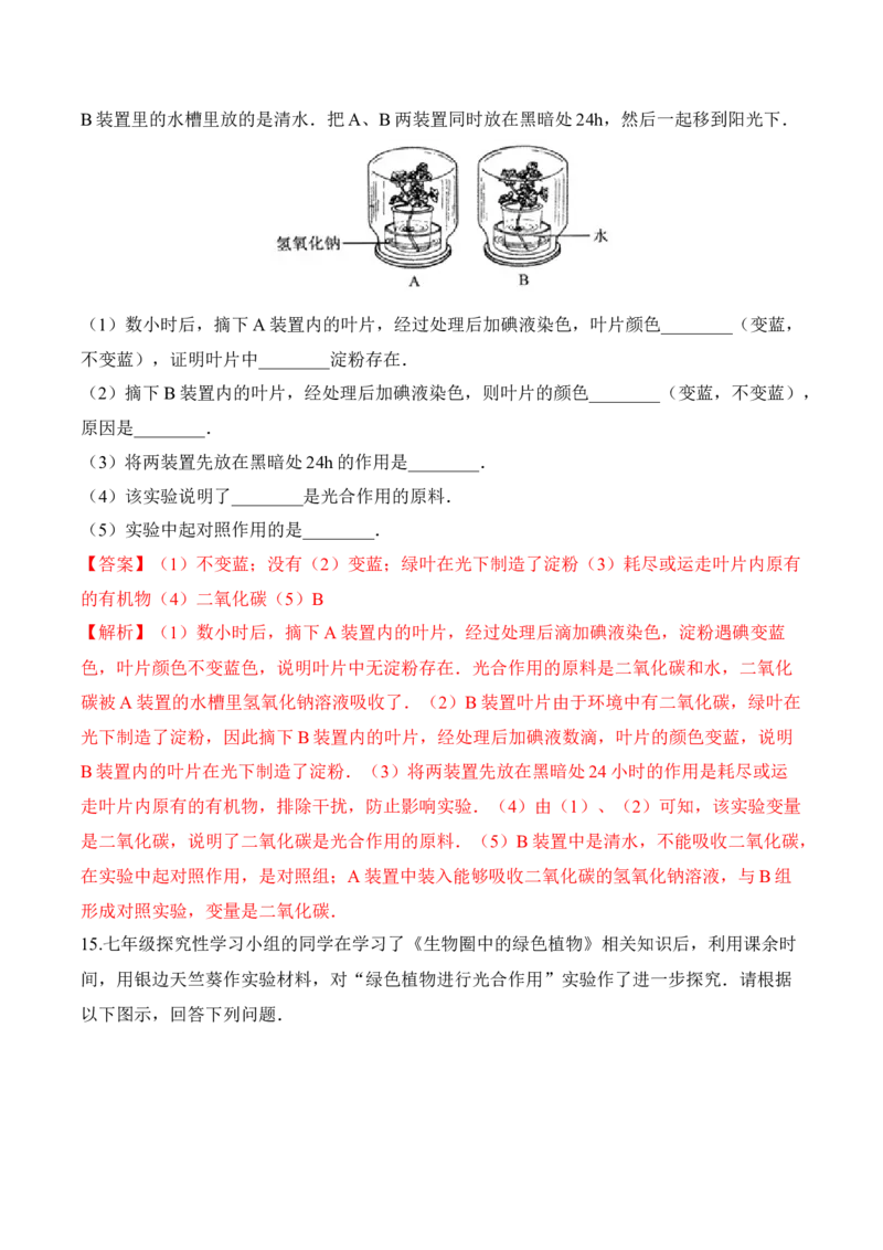 3.4绿色植物是生物圈中有机物的制造者（习题）-2022-2023学年七年级生物上册同步优质备课资源（人教版）（解析版）_1、初中学习资料_4-6、生物_4-6-1、初一生物上册_同步练习-138份