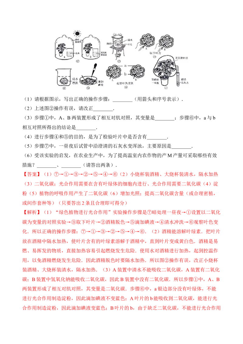 3.4绿色植物是生物圈中有机物的制造者（习题）-2022-2023学年七年级生物上册同步优质备课资源（人教版）（解析版）_1、初中学习资料_4-6、生物_4-6-1、初一生物上册_同步练习-138份