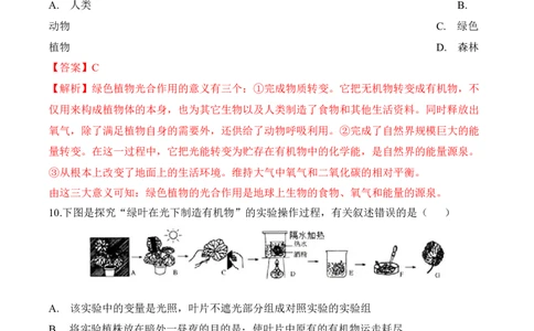 3.4绿色植物是生物圈中有机物的制造者（习题）-2022-2023学年七年级生物上册同步优质备课资源（人教版）（解析版）_1、初中学习资料_4-6、生物_4-6-1、初一生物上册_同步练习-138份