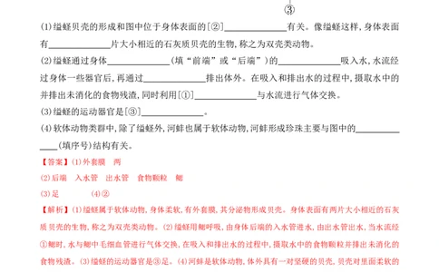 5.1.3软体动物和节肢动物-2022-2023学年八年级生物上册课后培优分级练（人教版）（解析版）_1、初中学习资料_4-6、生物_4-6-3、初二生物上册_1、同步练习（50份）