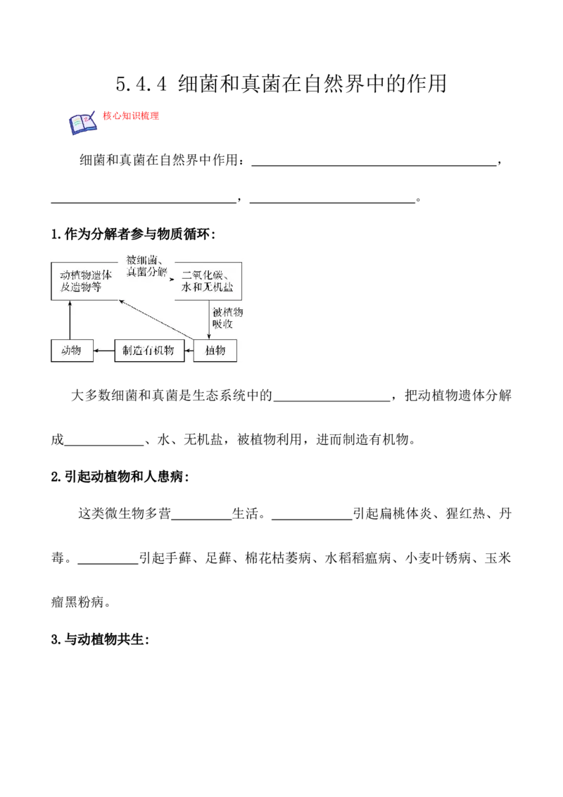 5.4.4细菌和真菌在自然界中的作用-2022-2023学年八年级生物上册课后培优分级练（人教版）（原卷版）_1、初中学习资料_4-6、生物_4-6-3、初二生物上册_1、同步练习（50份）