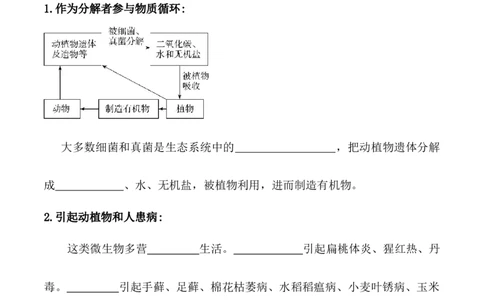 5.4.4细菌和真菌在自然界中的作用-2022-2023学年八年级生物上册课后培优分级练（人教版）（原卷版）_1、初中学习资料_4-6、生物_4-6-3、初二生物上册_1、同步练习（50份）
