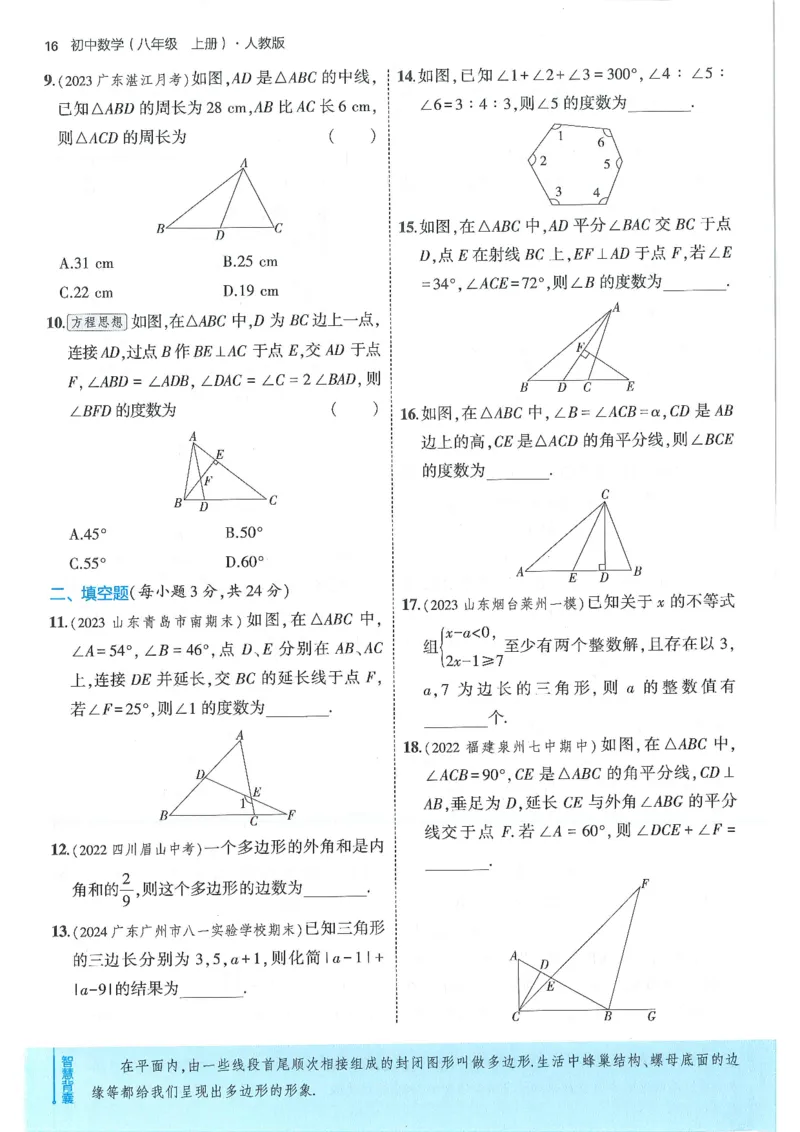 53-初中同步-8上-数学人教版全练版_1、初中学习资料_24秋试卷_2025版《53&bull;初中同步》上册全科