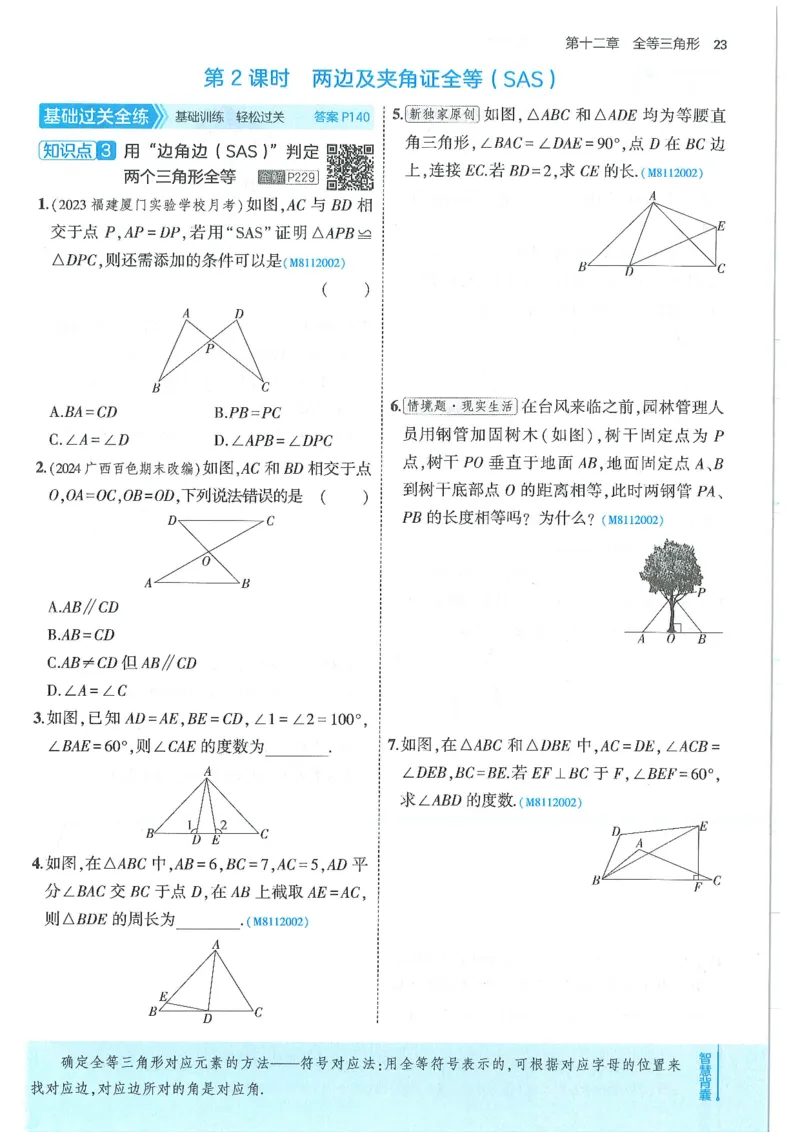 53-初中同步-8上-数学人教版全练版_1、初中学习资料_24秋试卷_2025版《53&bull;初中同步》上册全科
