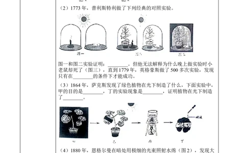 3.5.1光合作用吸收二氧化碳释放氧气（学案）-2022-2023学年七年级生物上册同步优质备课资源（人教版）_1、初中学习资料_4-6、生物_4-6-1、初一生物上册_同步练习-138份