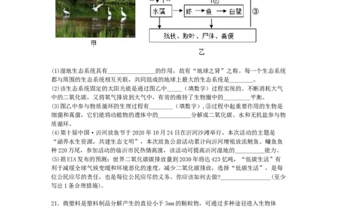 4.7.2探究环境污染对生物的影响-练学堂2021-2022学年七年级生物下学期同步习题精练（人教版）（原卷版）_1、初中学习资料_4-6、生物_4-6-2、初一生物下册_同步练习（89份）
