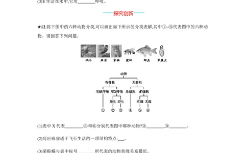 6.1.1_1、初中学习资料_4-6、生物_4-6-3、初二生物上册_1、同步练习（50份）_赠送课后练习+测试卷25份_人教版生物八年级上册第6单元课后练习+测试卷（5份打包）