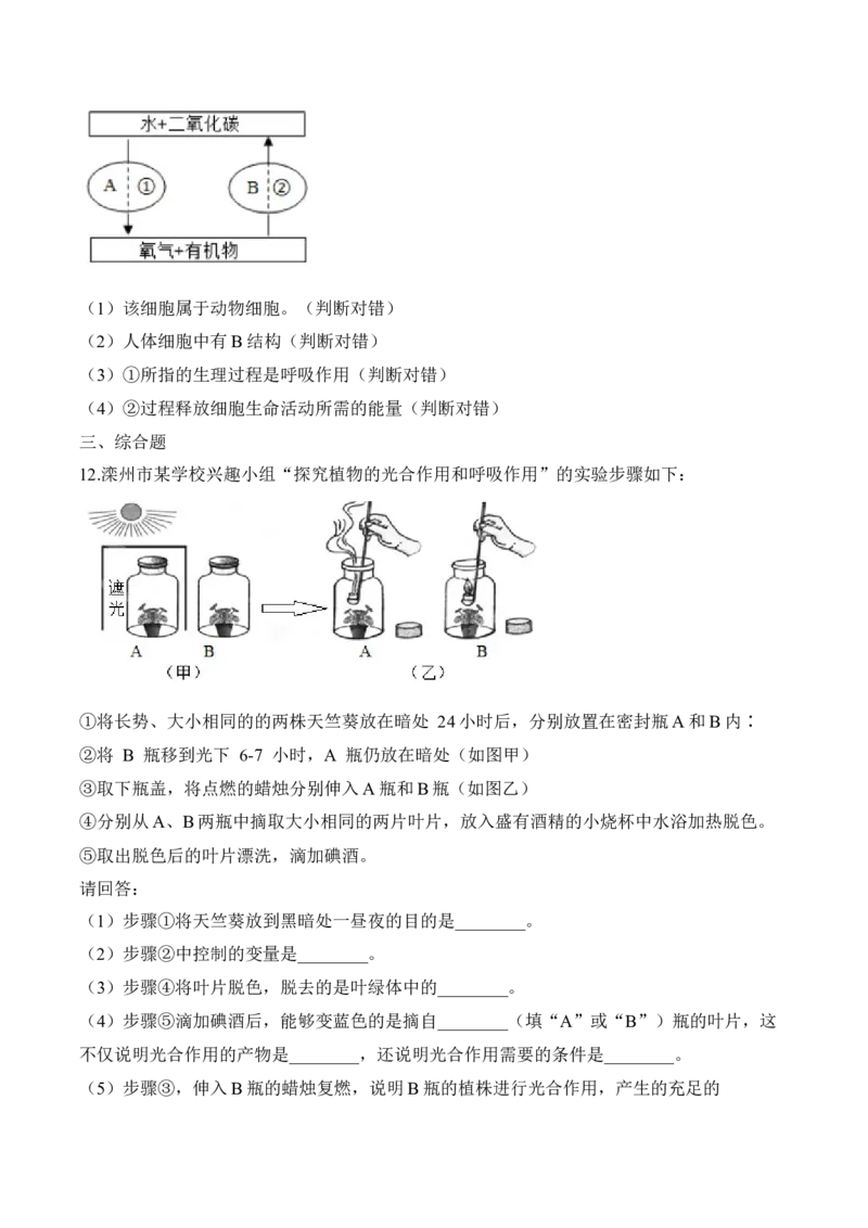 3.5.2绿色植物的呼吸作用（习题）-2022-2023学年七年级生物上册同步优质备课资源（人教版）（原卷版）_1、初中学习资料_4-6、生物_4-6-1、初一生物上册_同步练习-138份