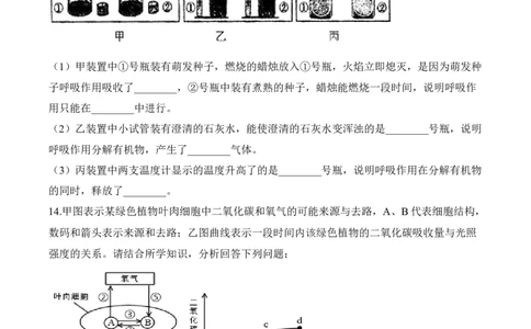 3.5.2绿色植物的呼吸作用（习题）-2022-2023学年七年级生物上册同步优质备课资源（人教版）（原卷版）_1、初中学习资料_4-6、生物_4-6-1、初一生物上册_同步练习-138份