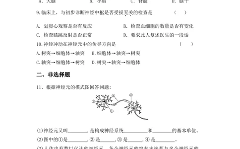 4.6.2神经系统的组成同步测试_1、初中学习资料_4-6、生物_4-6-2、初一生物下册_同步练习（89份）_同步练习第2套（69份）_4.6人体生命活动的调节_第2节神经系统的组成