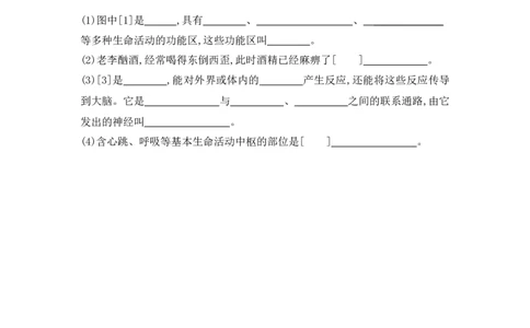 4.6.2神经系统的组成同步测试_1、初中学习资料_4-6、生物_4-6-2、初一生物下册_同步练习（89份）_同步练习第2套（69份）_4.6人体生命活动的调节_第2节神经系统的组成