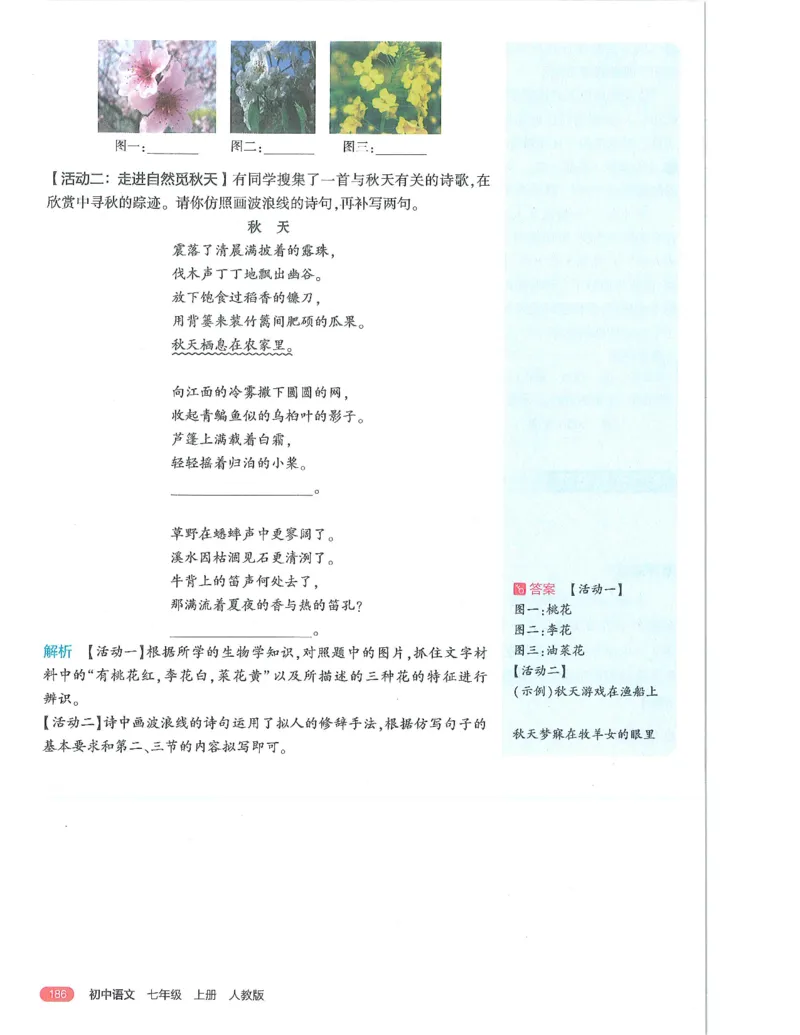 53-初中同步-7上-语文人教版全解版_1、初中学习资料_24秋试卷_2025版《53&bull;初中同步》上册全科