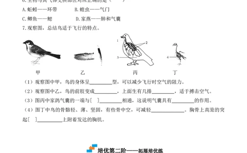5.1.6鸟-2022-2023学年八年级生物上册课后培优分级练（人教版）（原卷版）_1、初中学习资料_4-6、生物_4-6-3、初二生物上册_1、同步练习（50份）