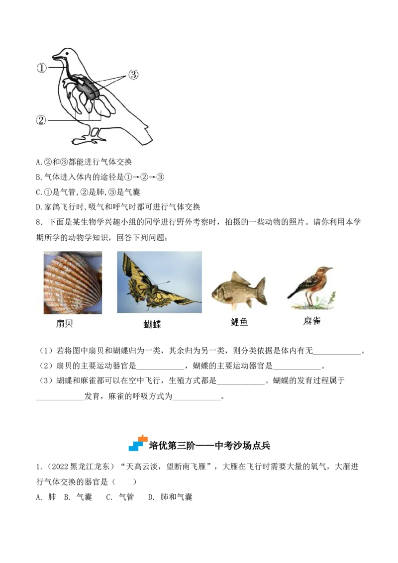 5.1.6鸟-2022-2023学年八年级生物上册课后培优分级练（人教版）（原卷版）_1、初中学习资料_4-6、生物_4-6-3、初二生物上册_1、同步练习（50份）