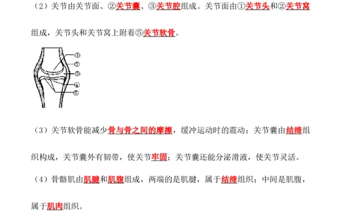 5.2.1动物的运动-2022-2023学年八年级生物上册课后培优分级练（人教版）（解析版）_1、初中学习资料_4-6、生物_4-6-3、初二生物上册_1、同步练习（50份）