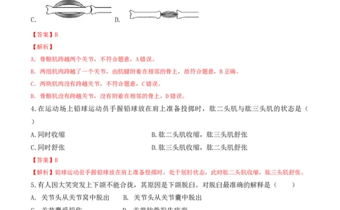 5.2.1动物的运动-2022-2023学年八年级生物上册课后培优分级练（人教版）（解析版）_1、初中学习资料_4-6、生物_4-6-3、初二生物上册_1、同步练习（50份）
