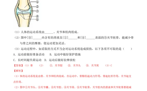 5.2.1动物的运动-2022-2023学年八年级生物上册课后培优分级练（人教版）（解析版）_1、初中学习资料_4-6、生物_4-6-3、初二生物上册_1、同步练习（50份）