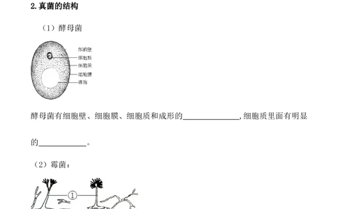 5.4.3真菌-2022-2023学年八年级生物上册课后培优分级练（人教版）（原卷版）_1、初中学习资料_4-6、生物_4-6-3、初二生物上册_1、同步练习（50份）