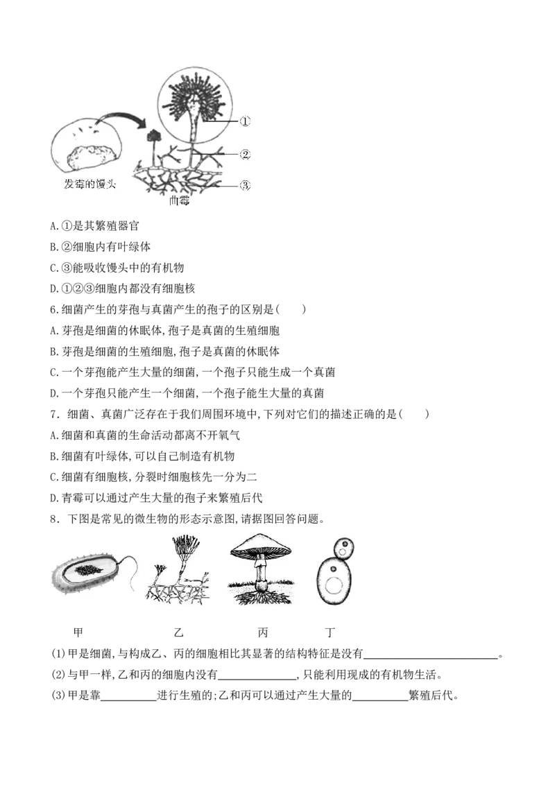 5.4.3真菌-2022-2023学年八年级生物上册课后培优分级练（人教版）（原卷版）_1、初中学习资料_4-6、生物_4-6-3、初二生物上册_1、同步练习（50份）