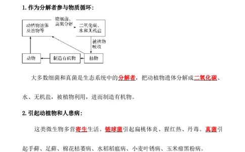 5.4.4细菌和真菌在自然界中的作用-2022-2023学年八年级生物上册课后培优分级练（人教版）（解析版）_1、初中学习资料_4-6、生物_4-6-3、初二生物上册_1、同步练习（50份）
