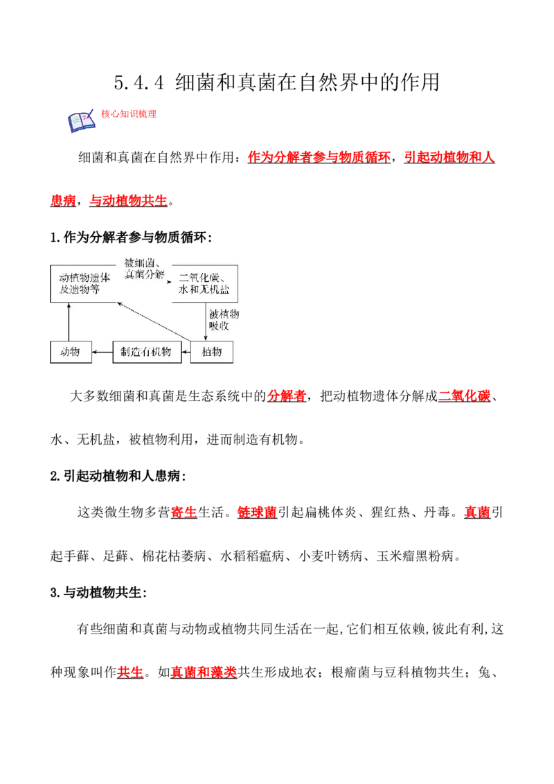 5.4.4细菌和真菌在自然界中的作用-2022-2023学年八年级生物上册课后培优分级练（人教版）（解析版）_1、初中学习资料_4-6、生物_4-6-3、初二生物上册_1、同步练习（50份）