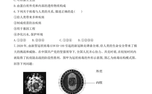 5.5病毒-2022-2023学年八年级生物上册课后培优分级练（人教版）（原卷版）_1、初中学习资料_4-6、生物_4-6-3、初二生物上册_1、同步练习（50份）