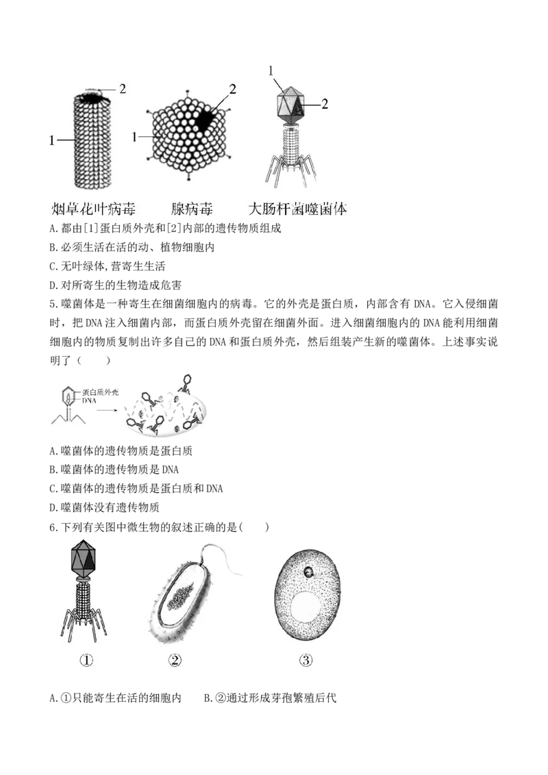 5.5病毒-2022-2023学年八年级生物上册课后培优分级练（人教版）（原卷版）_1、初中学习资料_4-6、生物_4-6-3、初二生物上册_1、同步练习（50份）