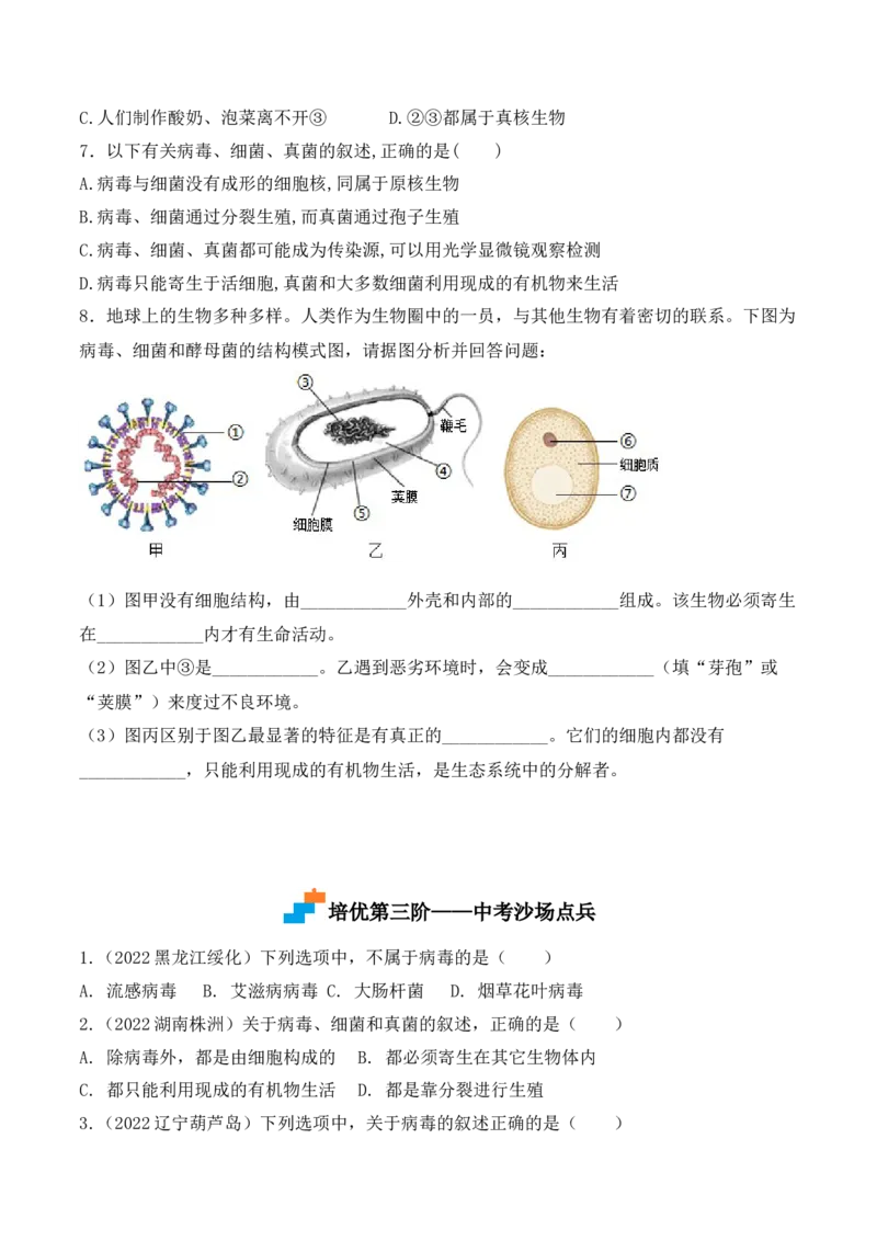 5.5病毒-2022-2023学年八年级生物上册课后培优分级练（人教版）（原卷版）_1、初中学习资料_4-6、生物_4-6-3、初二生物上册_1、同步练习（50份）