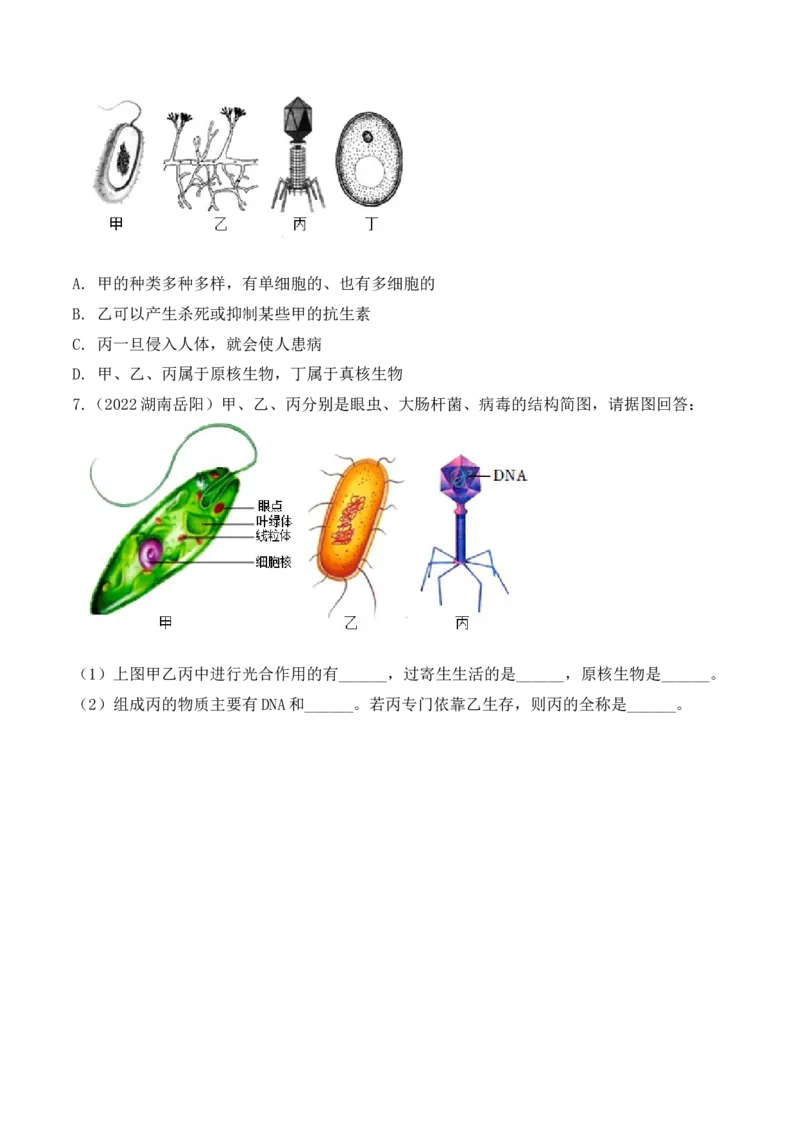 5.5病毒-2022-2023学年八年级生物上册课后培优分级练（人教版）（原卷版）_1、初中学习资料_4-6、生物_4-6-3、初二生物上册_1、同步练习（50份）