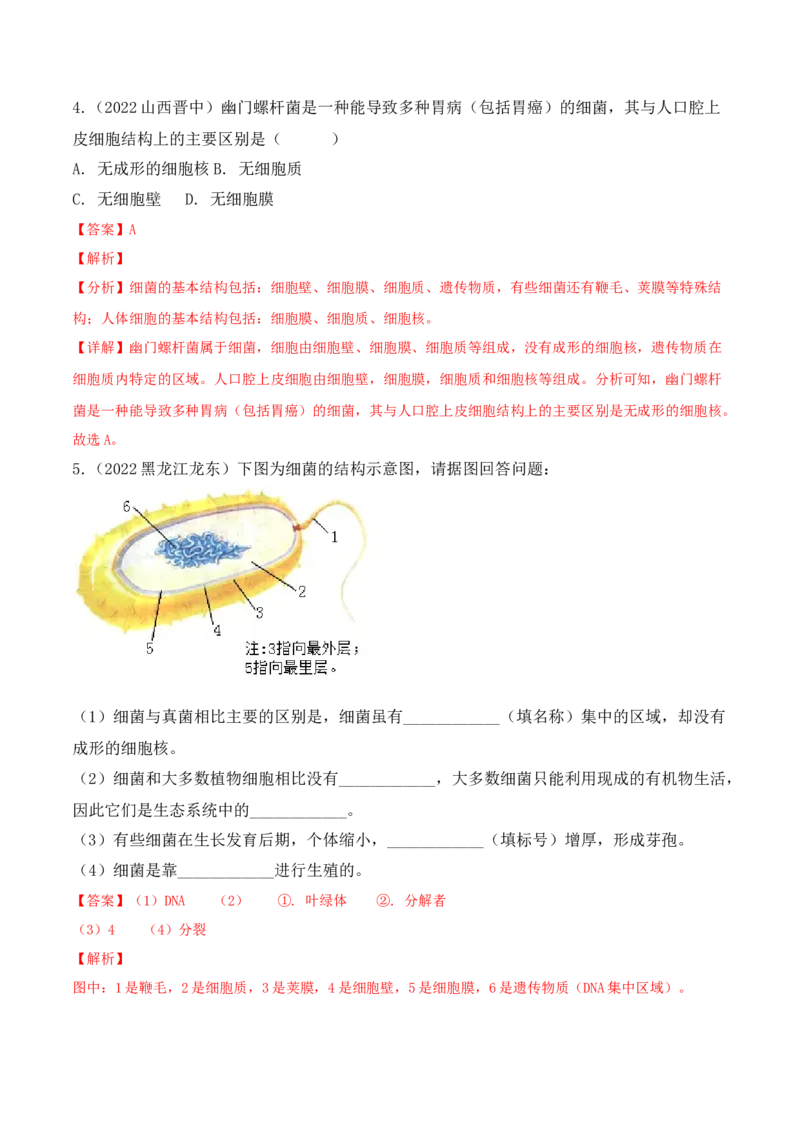 5.4.2细菌-2022-2023学年八年级生物上册课后培优分级练（人教版）（解析版）_1、初中学习资料_4-6、生物_4-6-3、初二生物上册_1、同步练习（50份）