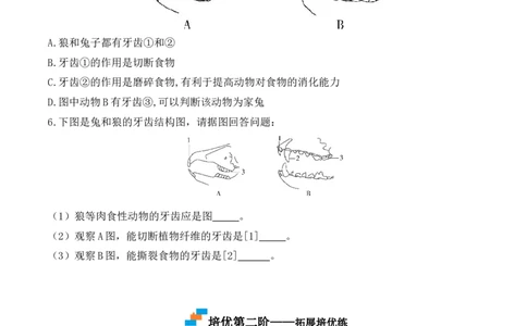 5.1.7哺乳动物-2022-2023学年八年级生物上册课后培优分级练（人教版）（原卷版）_1、初中学习资料_4-6、生物_4-6-3、初二生物上册_1、同步练习（50份）